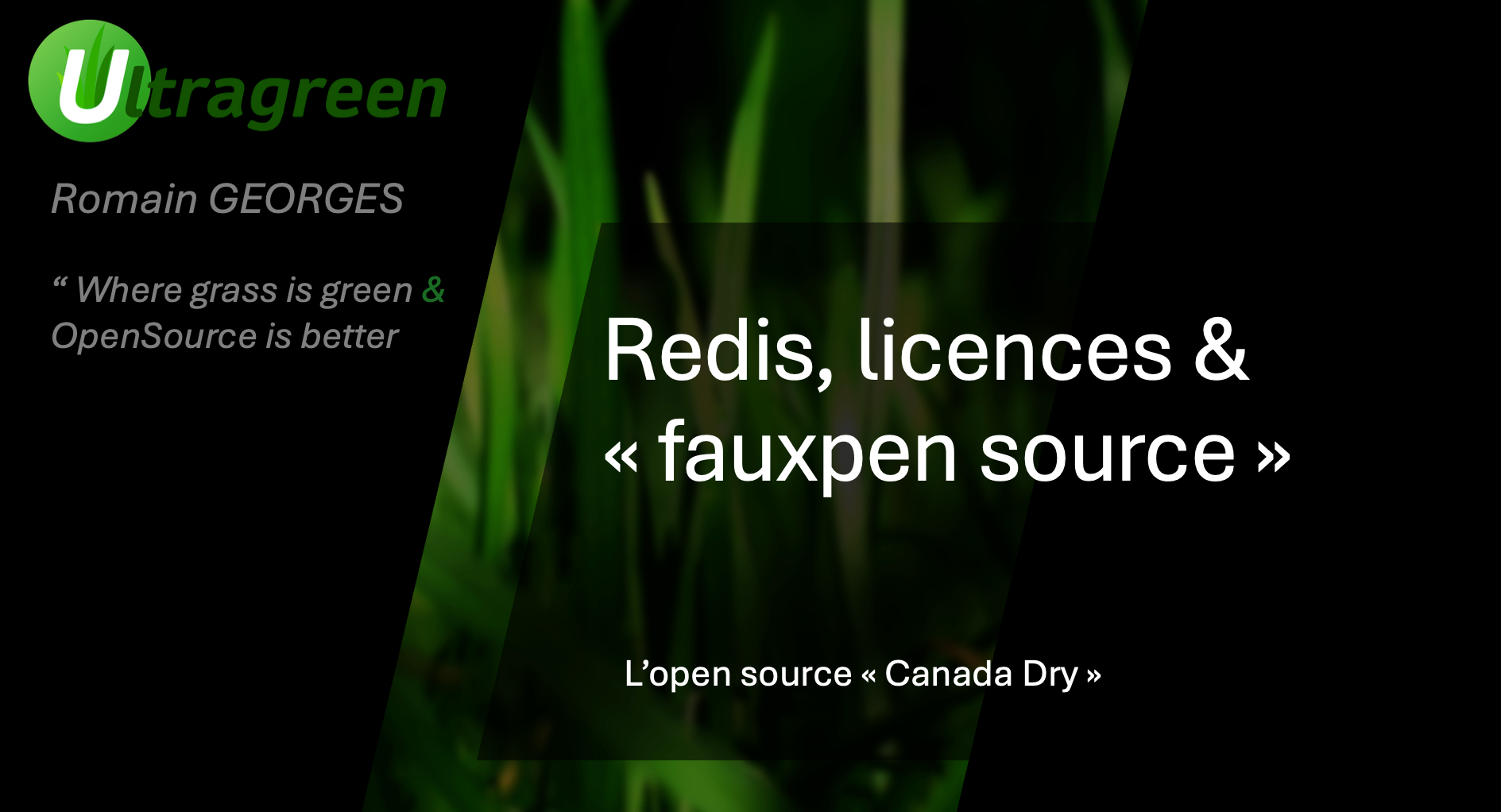 Redis & L'Open source Canada Dry