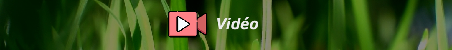 Prochain format long sur Ultragreen